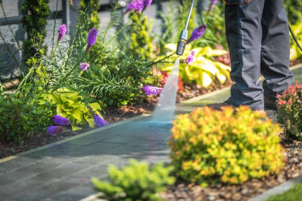 Best Fence Cleaning and Maintenance in Two Rivers, WI