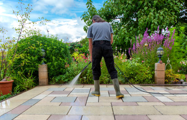 Best Roof Cleaning and Mildew Removal in Two Rivers, WI