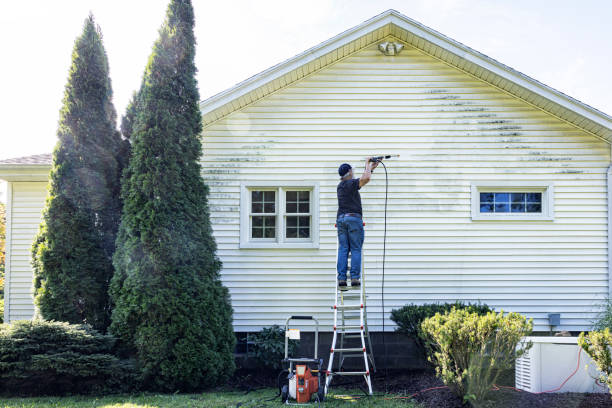 Best Soft Washing for Delicate Surfaces in Two Rivers, WI